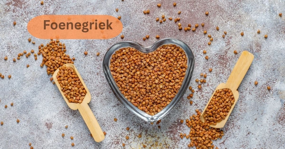 Foenegriek: Het Wonderkruid voor Gezondheid en Vitaliteit